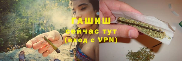 МДПВ Каменка