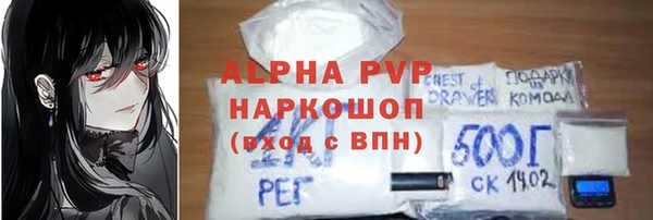 МДПВ Каменка