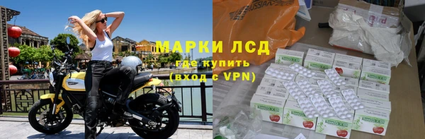 МДПВ Каменка