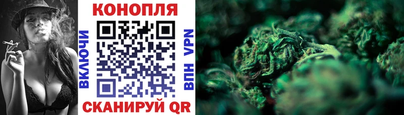 Бошки Шишки гибрид  Купить закладки  Бор 
